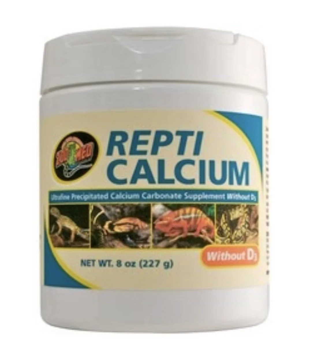 How to take care of a pet chameleon | Neptune the Chameleon